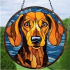 Dog/Typ10