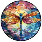Dragonfly / Tüüp13